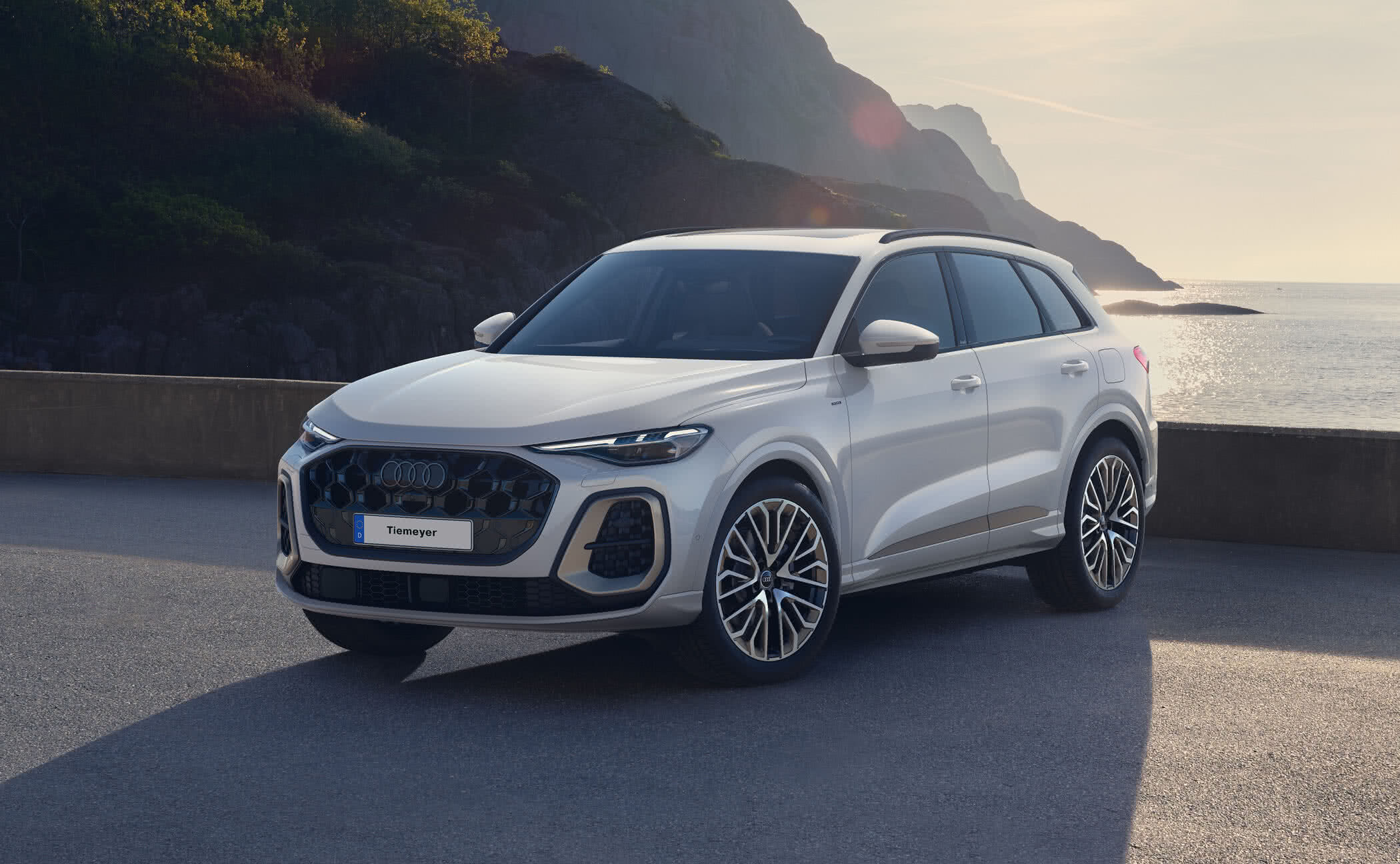 Der Audi Q5 e-hybrid