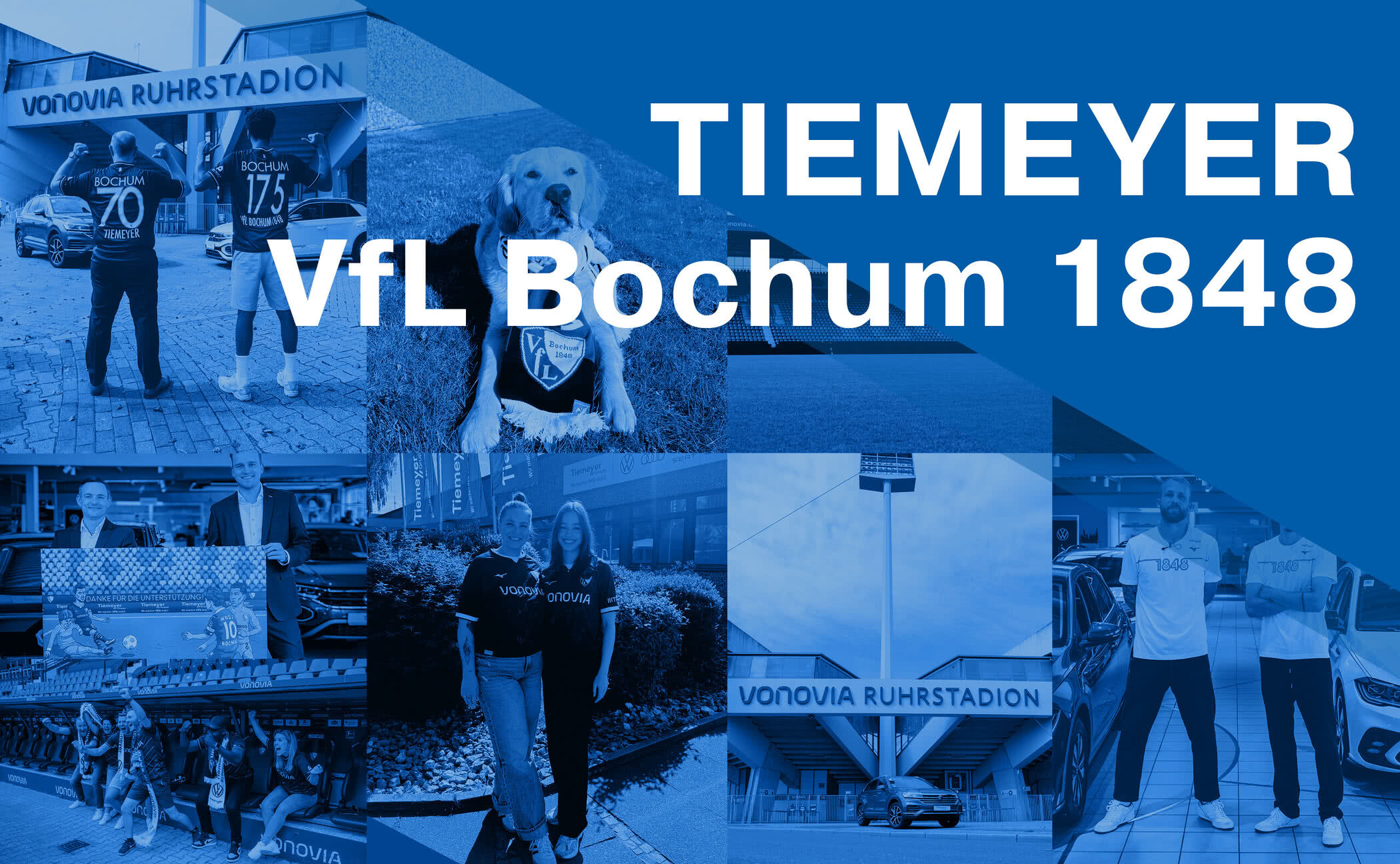 Tiemeyer x VfL Bochum