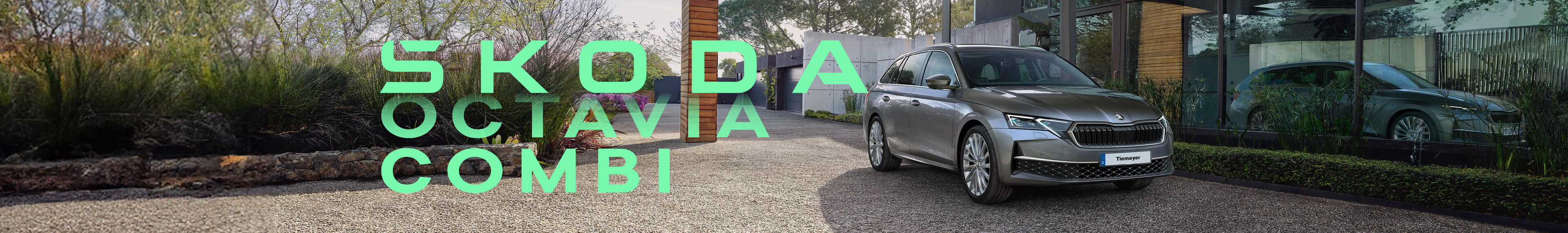 Der Škoda Octavia.
