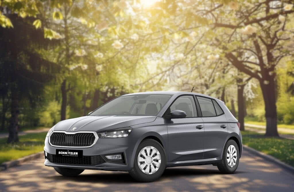 ŠKODA Fabia Selection 